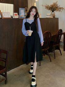 New Arrival Fashion Fake Two Long-sleeved Plus Size Dress(L-4XL)