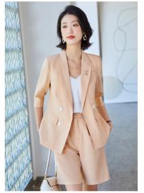 Outlet Spring fashion business suit slim pant a set for women