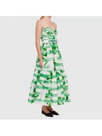 European Style Printing Slim Waist Maxi Dress 