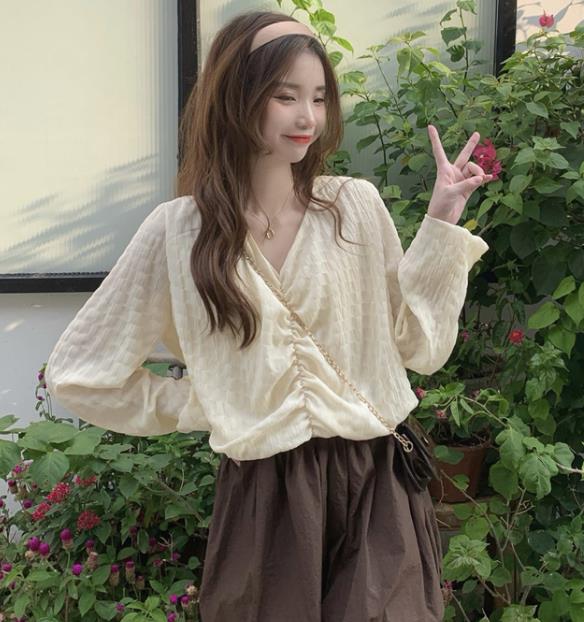 Korean Style Drape Fashion Pure Color Blouse