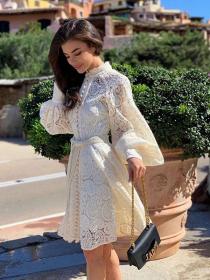 Beige Lace Embroidered High waist A-line Dress