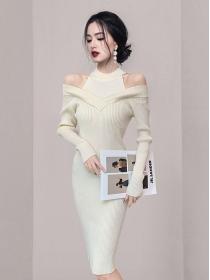 New style Turtleneck Temperament Slim Fit Knitted dress