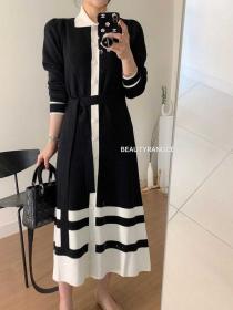 Korean style chic autumn Knitted long dress