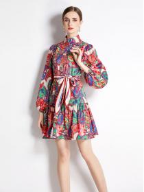 Vintage style Spring Polo collar Matching Fashion print Dress
