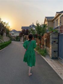 Korean style Lantern sleeve Fashion dress 
