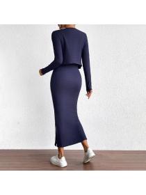 European style Elegant Fashion Long sleeve Top+Split dress 2 pcs set