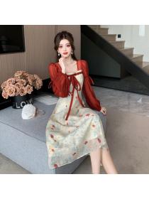 Chinese style Spring fashion Long sleeve dress 
