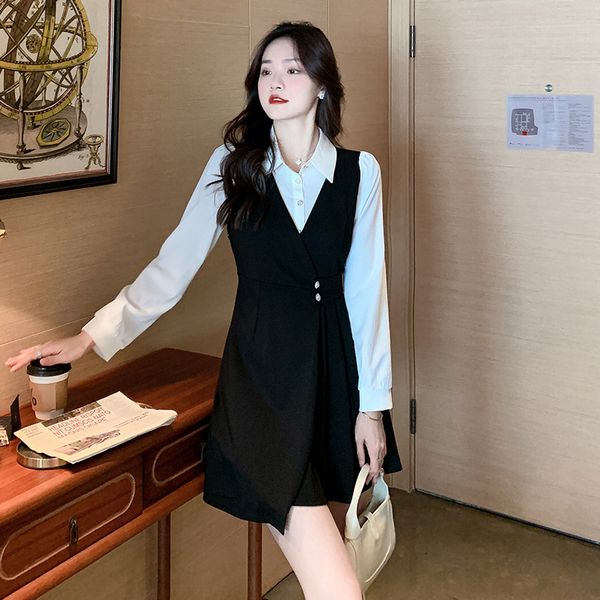 Korea style Elegant Long sleeve dress