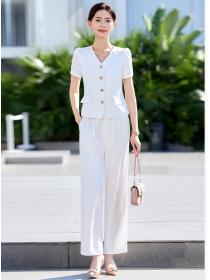 Temperament casual pants business suit 2pcs set for women